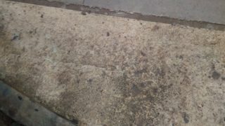 IMG_20160926_145052.jpg