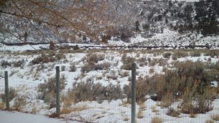 IMG_20161225_115117.jpg