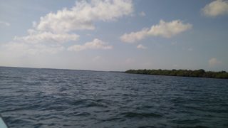 IMG_20170420_152700.jpg