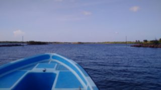 IMG_20170420_153105.jpg