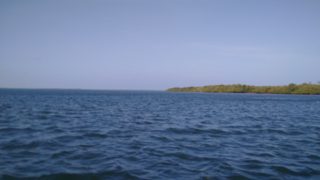 IMG_20170420_153841.jpg