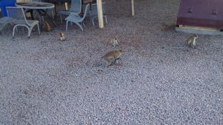 IMG_20170420_171917.jpg