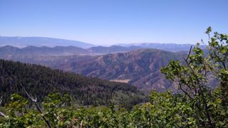 IMG_20170624_122750.jpg