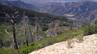IMG_20170624_123157.jpg