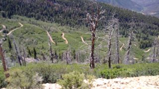 IMG_20170624_123201.jpg