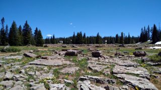 IMG_20170624_140838.jpg