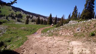 IMG_20170624_153247.jpg