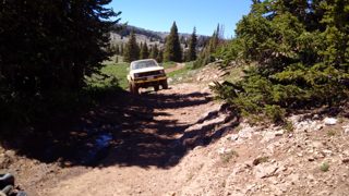 IMG_20170624_153324.jpg