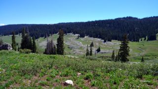 IMG_20170624_153640.jpg