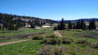 IMG_20170624_160633.jpg