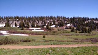 IMG_20170624_160638.jpg