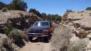 IMG_20170626_143245.jpg
