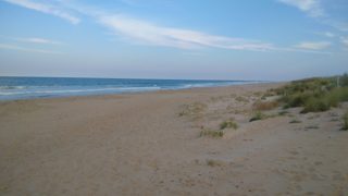 IMG_20170801_185510.jpg