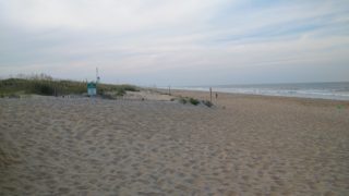 IMG_20170801_185518.jpg