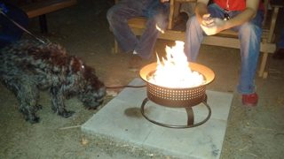 IMG_20171118_180747.jpg