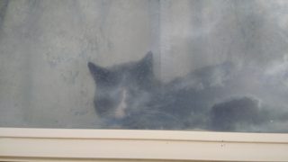 IMG_20171223_140412.jpg