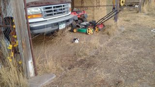 IMG_20171223_142621.jpg