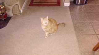 IMG_20171229_075535.jpg