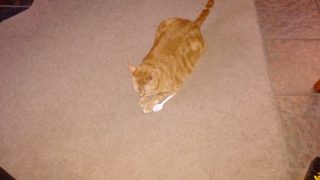 IMG_20171229_080701.jpg