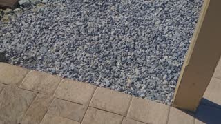 VID_20160925_130118.mp4