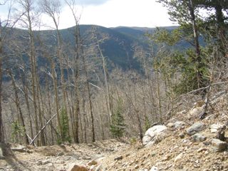 PA100401.JPG