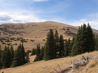 PA100407.JPG