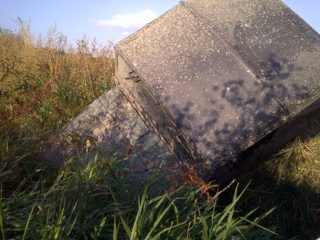 IMG-20101004-00020.jpg