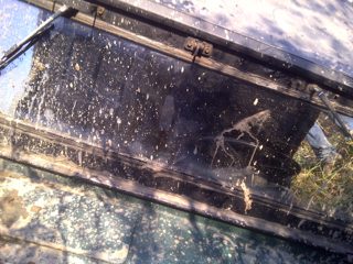 IMG-20101004-00021.jpg