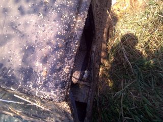 IMG-20101004-00025.jpg