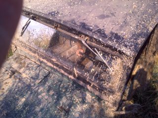 IMG-20101004-00026.jpg