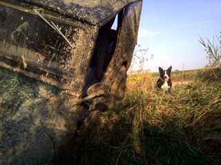 IMG-20101004-00029.jpg