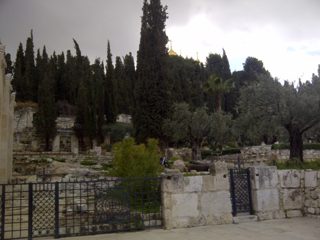 IMG-20150214-00465.jpg