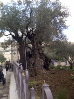 IMG-20150214-00473.jpg