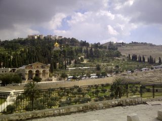 IMG-20150214-00481.jpg