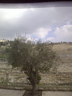 IMG-20150214-00482.jpg