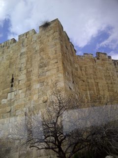 IMG-20150214-00489.jpg