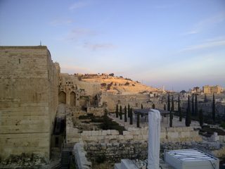 IMG-20150214-00565.jpg