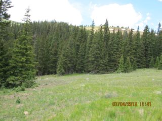 IMG_2125.JPG