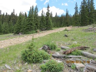 IMG_2132.JPG