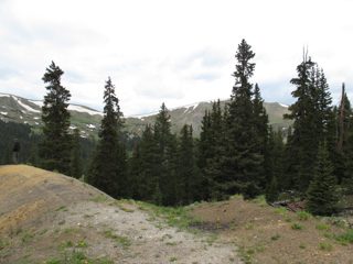 IMG_2206.JPG