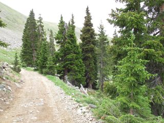 IMG_2208.JPG