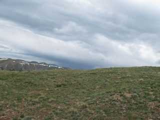 IMG_2221.JPG