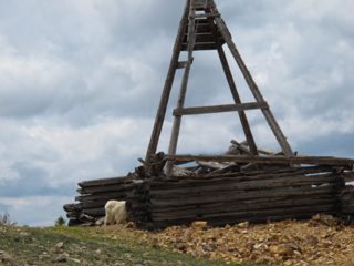 IMG_2225.JPG