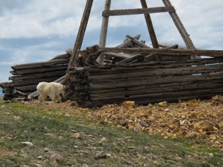 IMG_2226.JPG