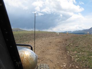 IMG_2233.JPG
