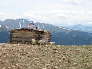 IMG_2235.JPG