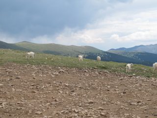 IMG_2237.JPG