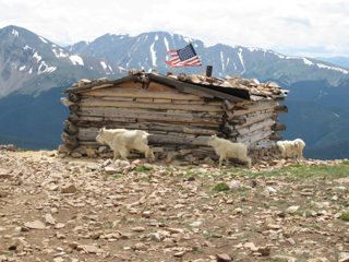 IMG_2238.JPG