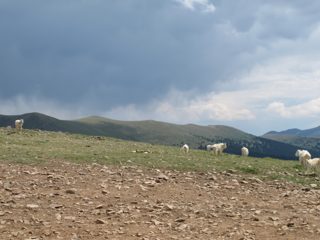 IMG_2239.JPG