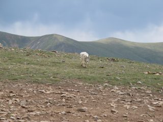 IMG_2245.JPG